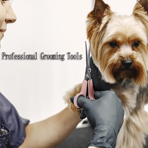 Pinking Hundtrimningssaxar, Hundtrimningssaxar med