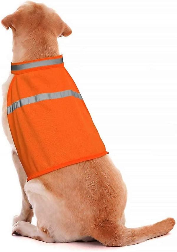 Reflekterande väst för hund, hög synlighet, justerbar rem, säkerhetsjacka