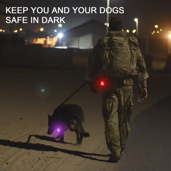 2-pak Vanntette LED-hunde lys med USB-lading, for natt