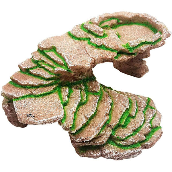 Skjulested til Skildpadder, Gemte Reptiler, Øglehuler, Fugtig