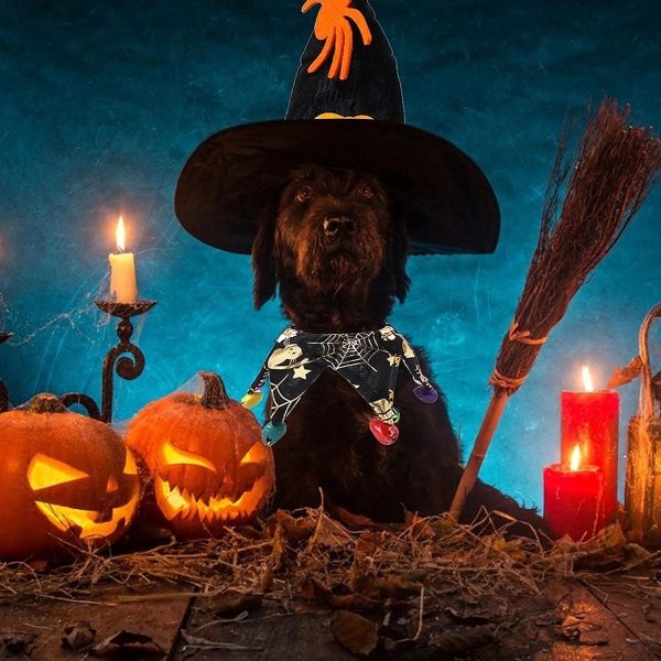 Halloween Husdjursdräkt Kattdräkthalskrage Cape med Hat Wizard