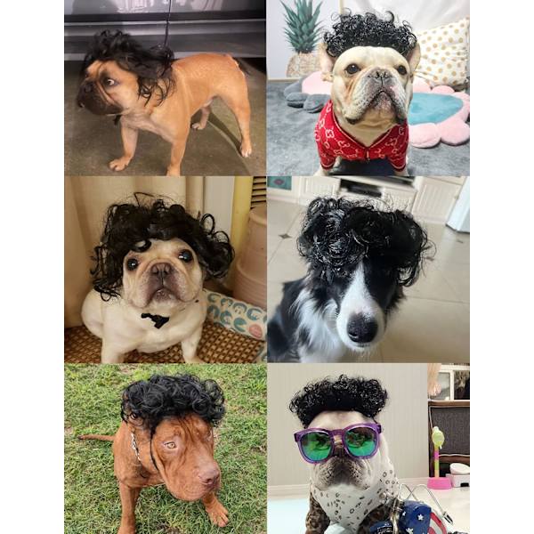 Hundeperuk, peruk til hunde, lille og mellem størrelse, kæledyrs kostume, foto