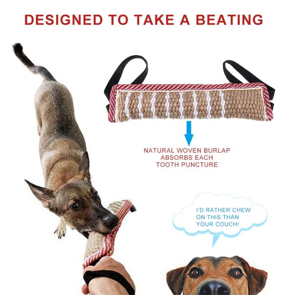 1 interaktiv drakleke for hund