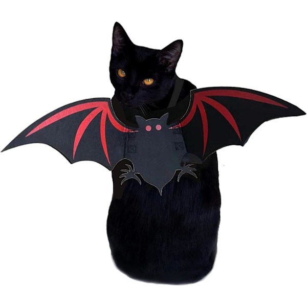 Kattkostym - Bedårande Unik Halloween Kattkostym för Katt