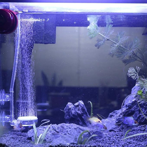 Akvarieluftsten, Akvarium Nano Luftsten Tyst Upplöst