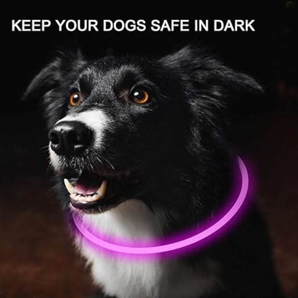 2-pack (rosa, röd) LED-halsband för hund, ljus upp hundhalsband,