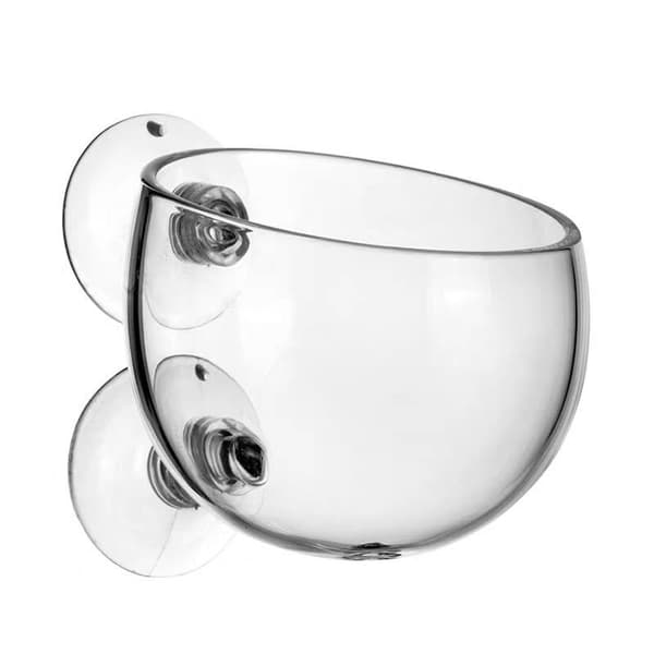 1-pack Akvarium Glaskoppkrukor, Akvarium Växtbehållare Kopp