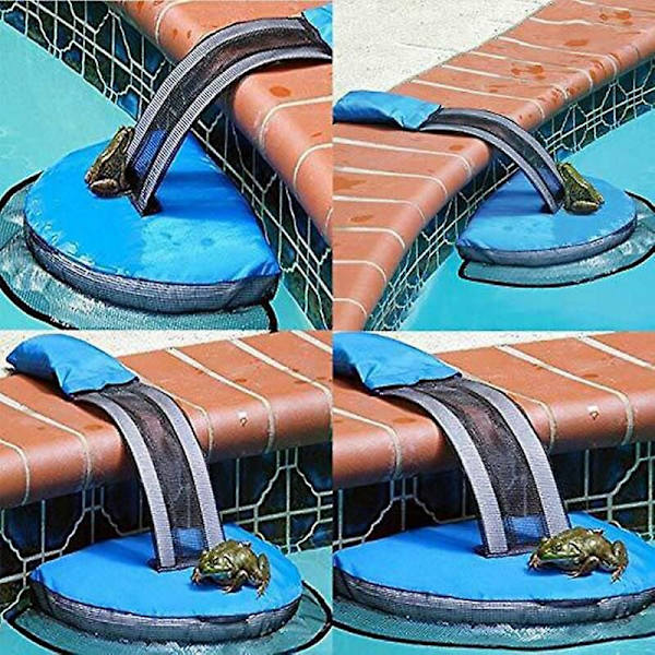 Flytande ramp för räddning av djur i pool