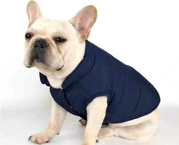 Blå Str. M Vinterjakke for Hunder Hundeklær Varm