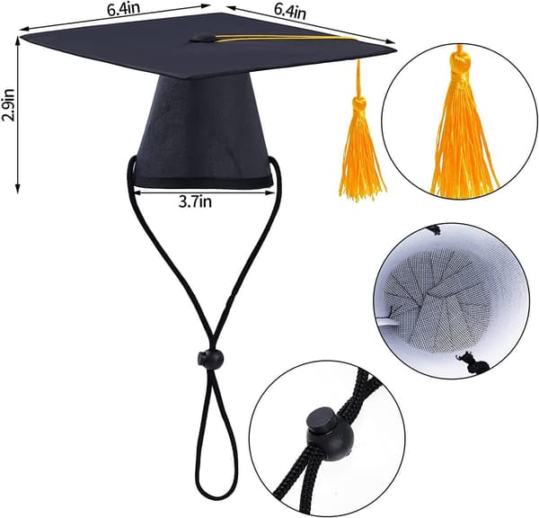 2 Pak PET Dr. Hat Doggy Graduation Sort Hat med
