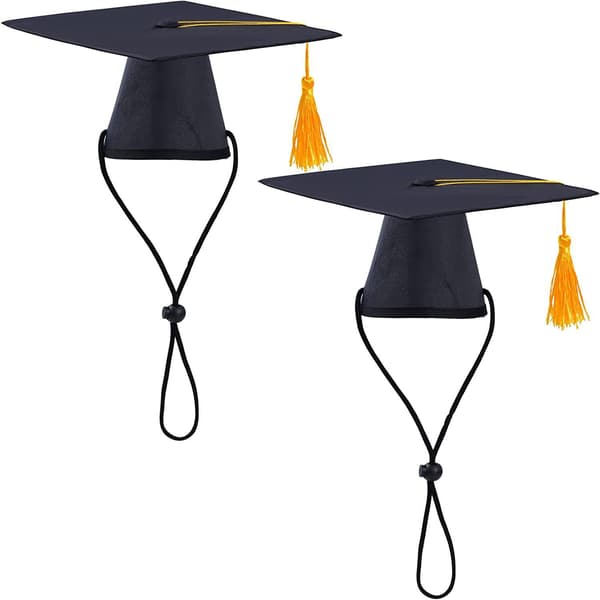 2 Pak PET Dr. Hat Doggy Graduation Sort Hat med
