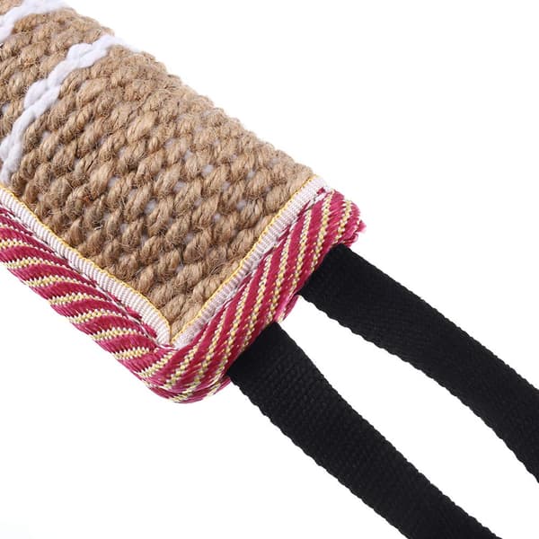 1 interaktiv drakleke for hund