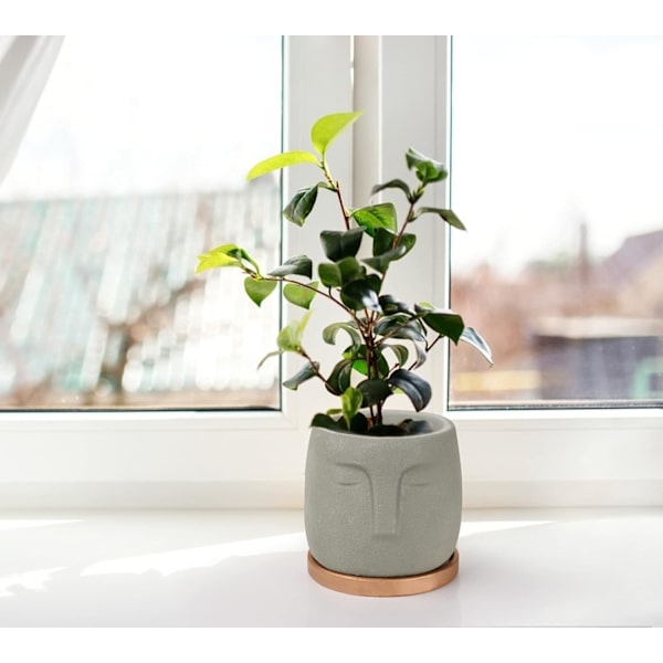 Cementblomkruka i keramik, sfinx, enkel, litterär, modern