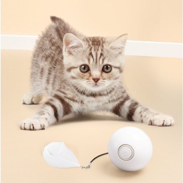 Interaktiv Kattboll med LED-Ljus, Automatisk
