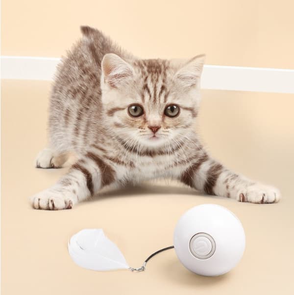 Interaktiv kattboll med LED-ljus, Interaktiv