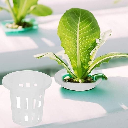 50 st Hydroponiska Nätkorgar i Plast för Plantering, Andningsbara
