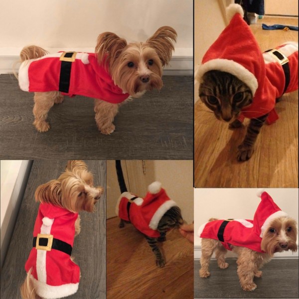 Juldräkt för katt, Kattkläder Jul Söt Tomte