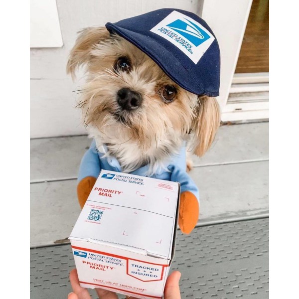 USPS Dog Mail Carrier Costume, Funny Courier forvandlet til en
