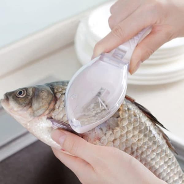 1 st (Blå) Fiskfjällsskrapa Kökstillbehör