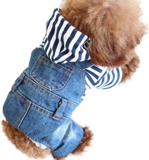 Tvättad Denim Jacka Jumpsuit Blå Jeans Passar Små Hundar