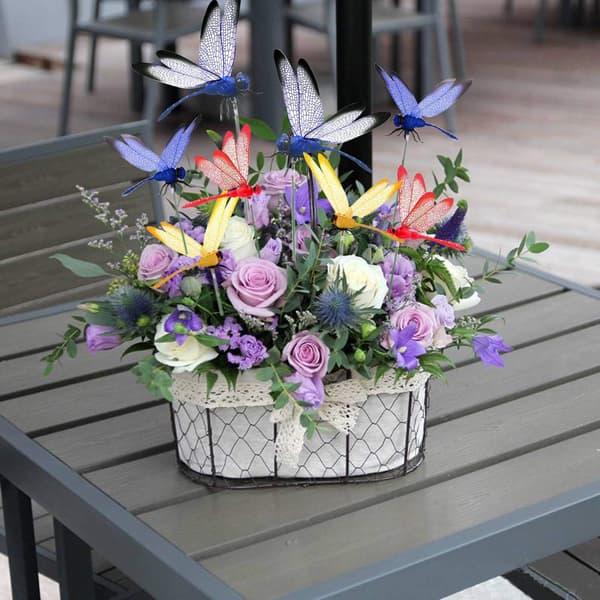 30 stk. Dragonfly Hagepynt, Dragonflies med Pinner for
