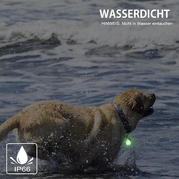 2-pak Vanntette LED-hunde lys med USB-lading, for natt