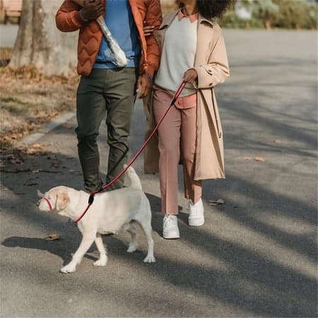 Hundemundsnøre i Nylon, Super Blød, Til Udendørs