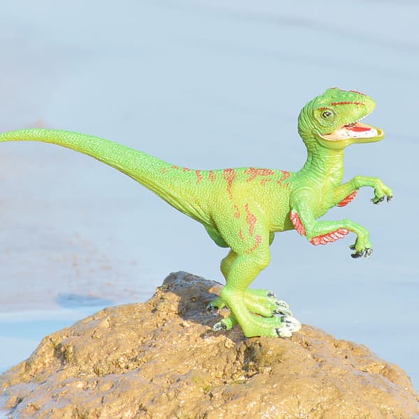 Jurassic Simulation Dinosaur Model Solid Tyrannosaurus bruxun