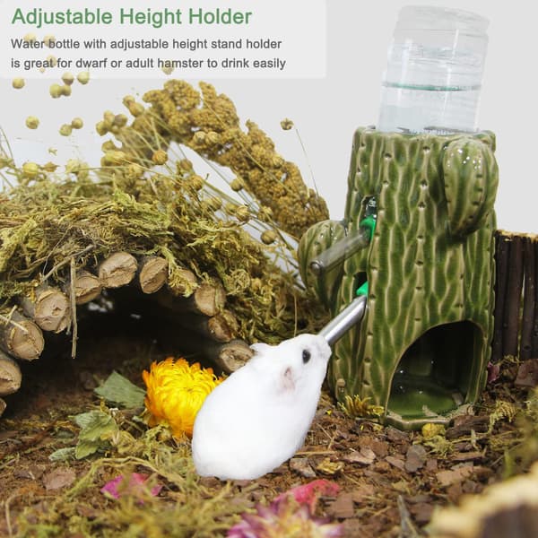 2-i-1 kaktus hamster vannflaske