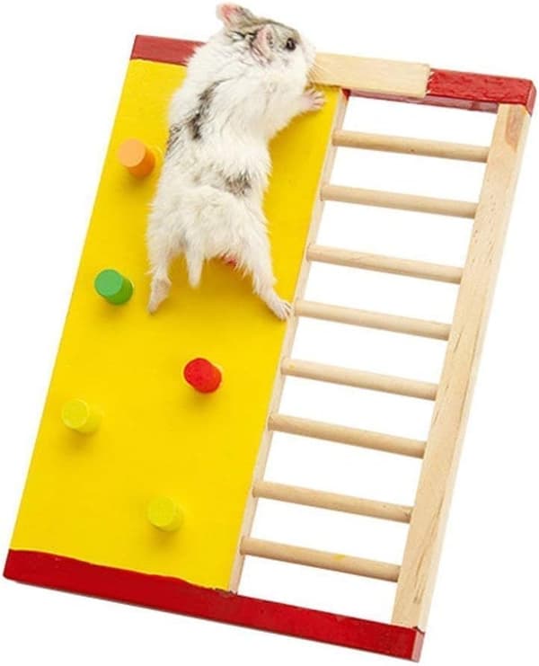 Fargerike tre klatrevegger og stiger for kjæledyrhamster