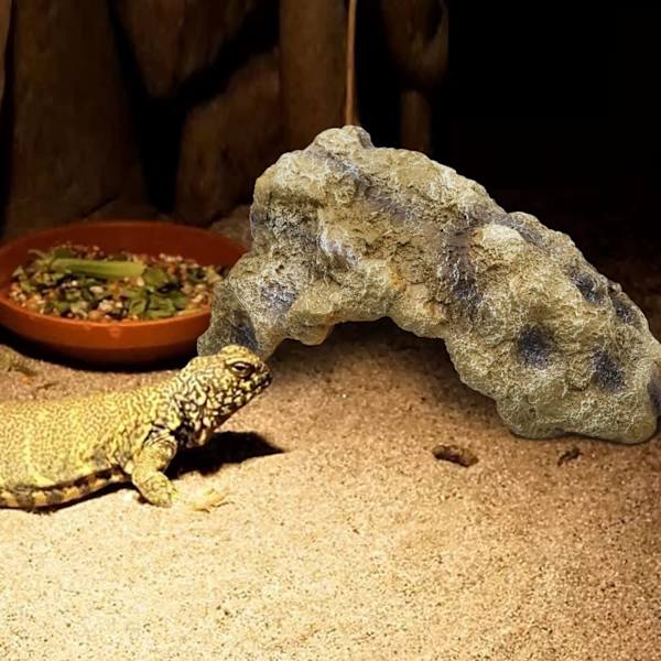 Reptilstein Skjulested Hule, Gecko Skjulested Landskapsstein, Skjul Øgle