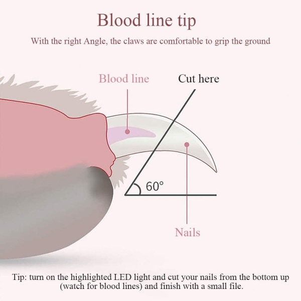Koiran ja kissan kynsileikkurit, koiran kynsileikkurit, lemmikkieläinten kynsileikkurit