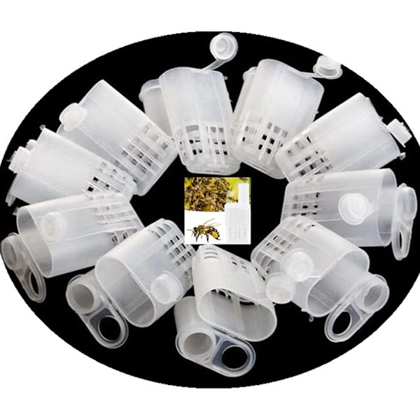 20 kpl Valkoisia Queen Bee -häkkejä Mehiläistarhaajan Saalis Plastic Bee