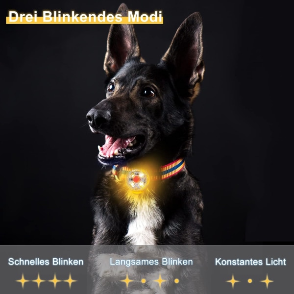 Sikkerheds LED Blinkende Lys til Hunde (Gul), Katte - USB Genopladelig