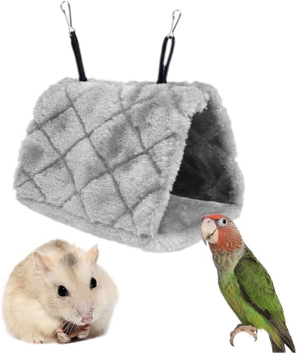 Grå Papegojabo