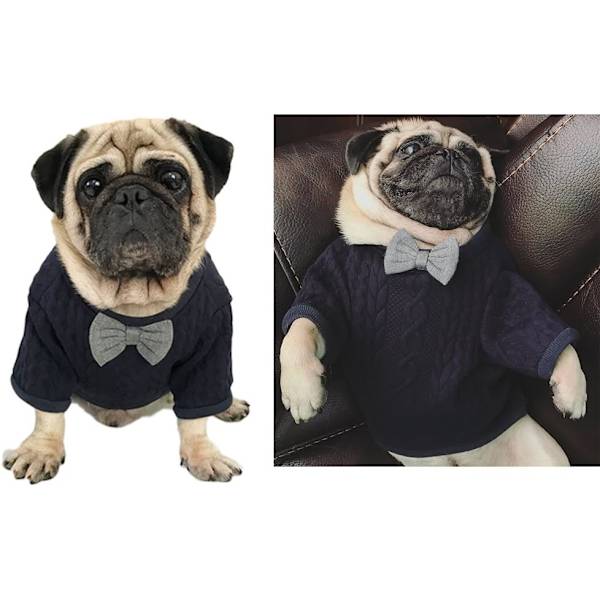 Hundebue-Sweater til kæledyr - Jakker til hunde - Sød kæledyrsbeklædning