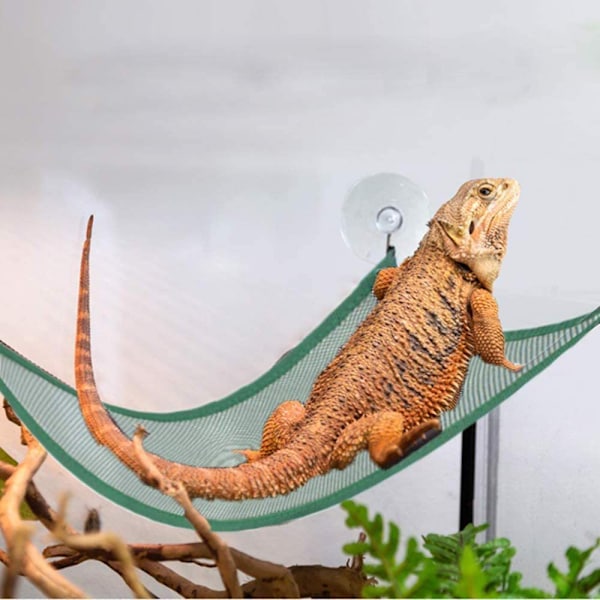 2 Pakkia Ripustussängyn Tarvikkeita Kaltevan Tikkaiden Hammock Parrakas