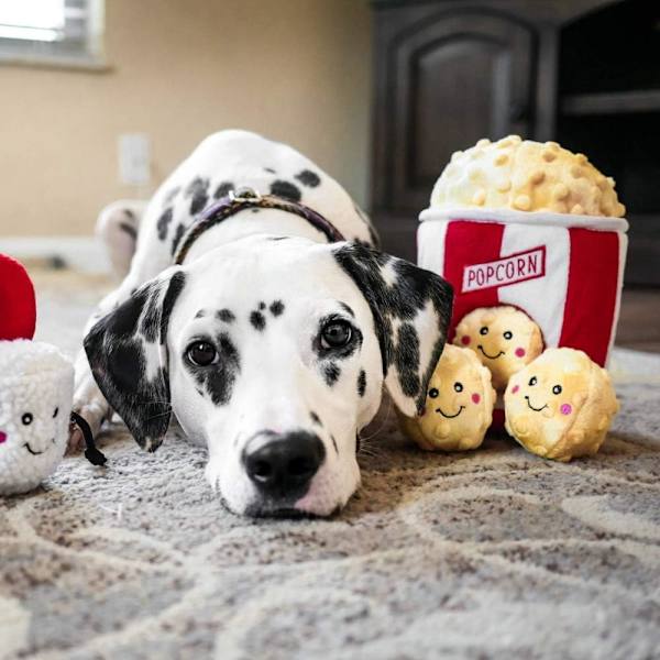 Food Buddies Popcorn-ämpäri - Interaktiivinen kesäkoiran leluja tylsistymiseen - Piiloleikki koiran leluja, värikkäitä vinkuvia koiran leluja pienille ja keskisuurille koirille, pehmolelukoiran palapelit