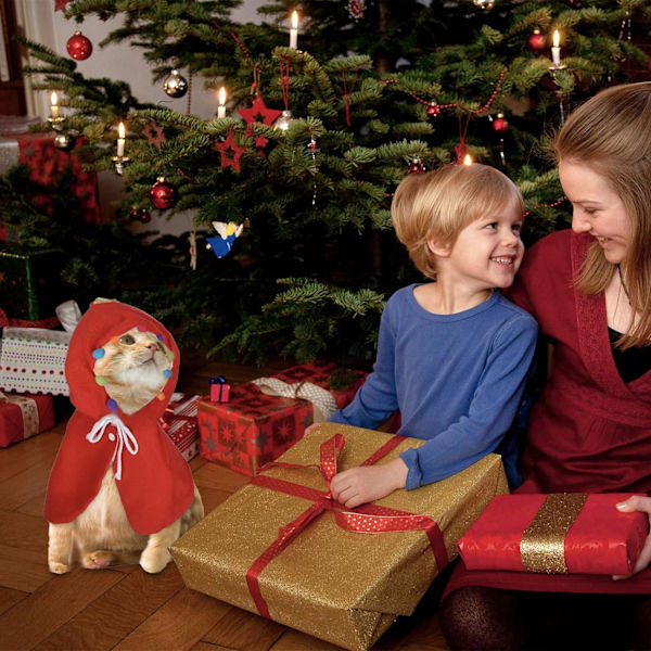 Juldräkt för katt, Julkläder för katt, Jul