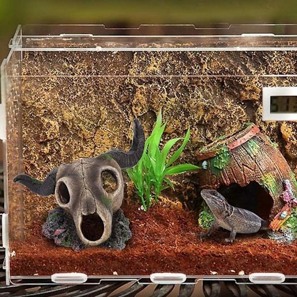 Harpiks reptil ornamenter, simulering harpiks akvarium, glass