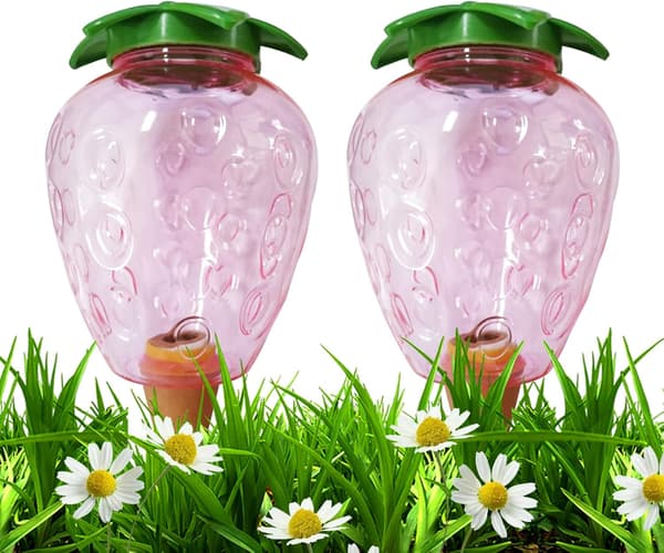 2 kpl Kartio Kastelutpullot 500ML, Sisäkasvien Savipallo,