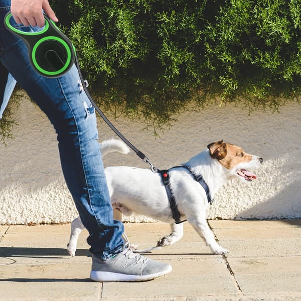 8M Utdragbar Hundkoppel, Stort Utdragbart Hundkoppel,