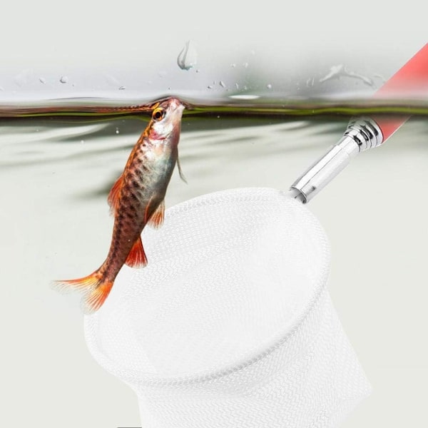 Fiskenet Teleskopisk Udvidbart Fiskenet til Rejer og Fisk