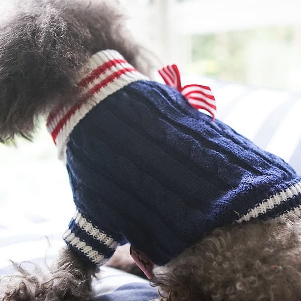 Tröja Pullover Jacka Stickad Vinterkappa för Chihuahua
