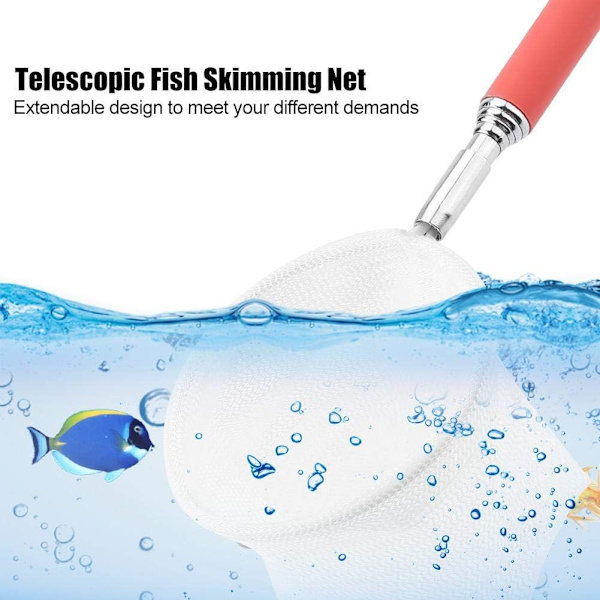 Fiskenet Teleskopisk Udvidbart Fiskenet til Rejer og Fisk