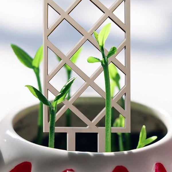 3 små tre-trellis for innendørs planter, egnet for
