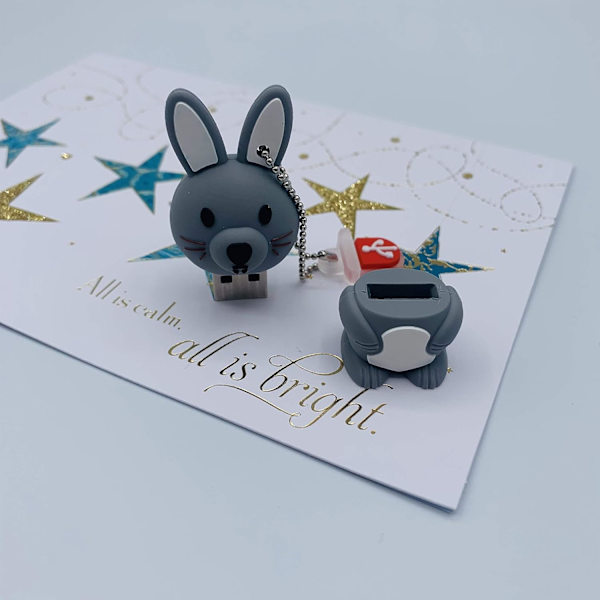 USB-tikku 16GB - USB-asema 16GB - Jänis Flash-asema - Jänis USB - Söpö peukaloasema (Jänis)