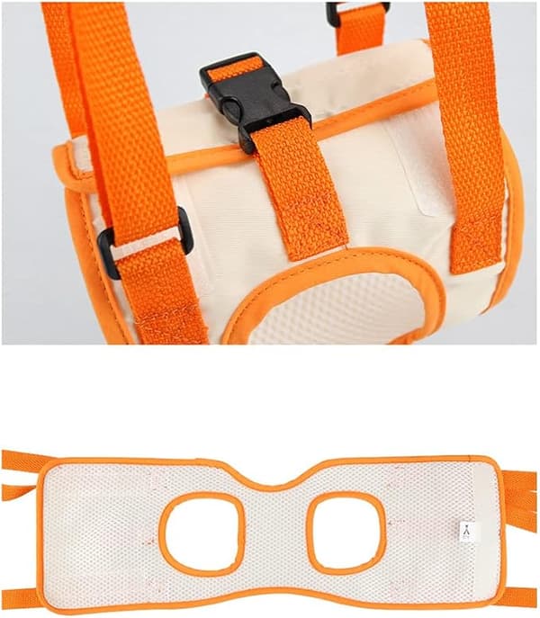 Orange Dog Assist Strap (S Midja 28-36cm, Benlängd