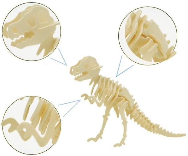3D-puinen palapeli - 6-osainen puinen dinosaurusluurankopalapeli
