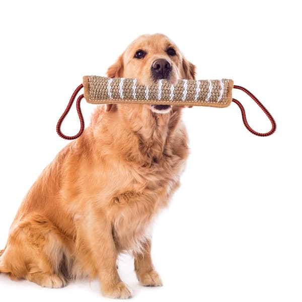 1 interaktiv drakleke for hund